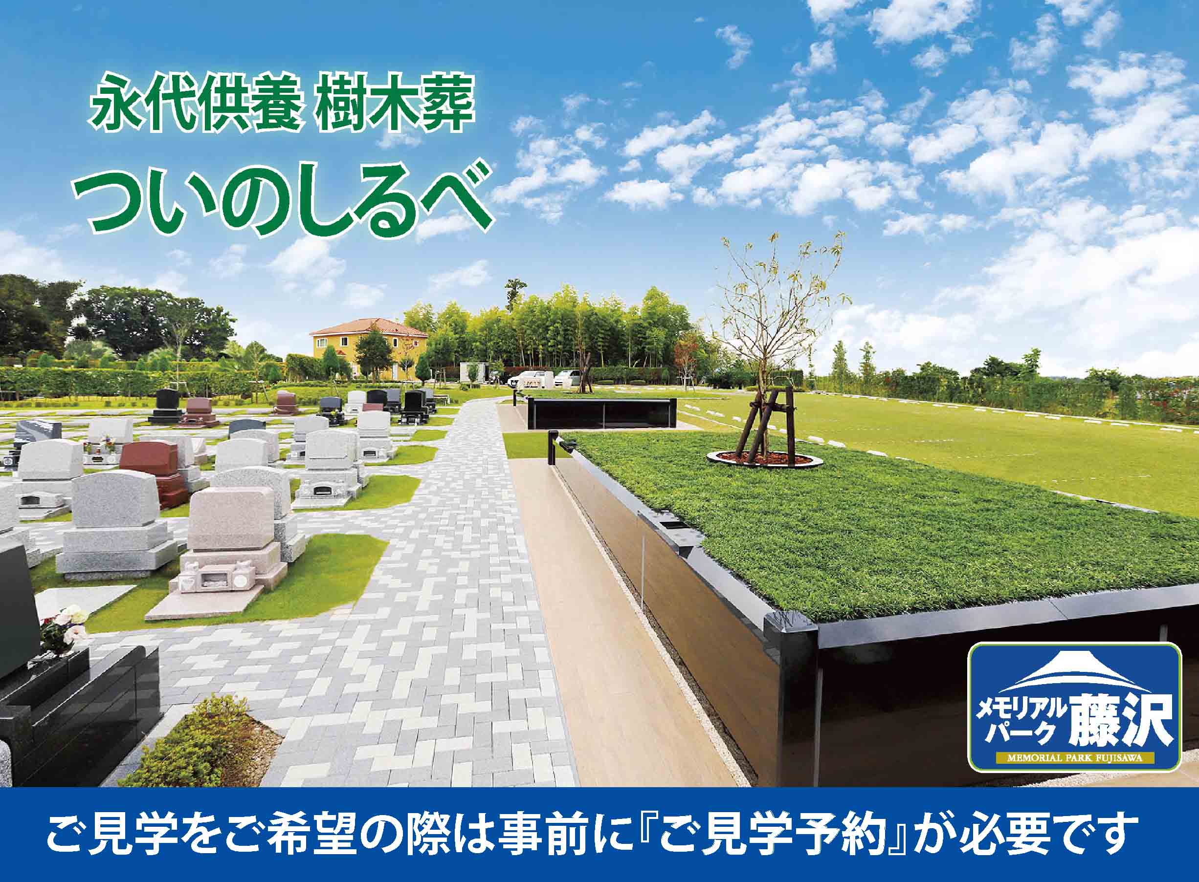 藤沢市の樹木葬