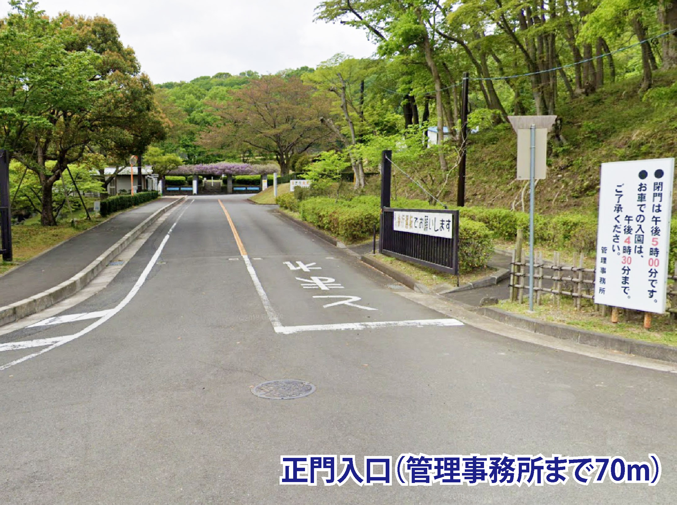 入口画像